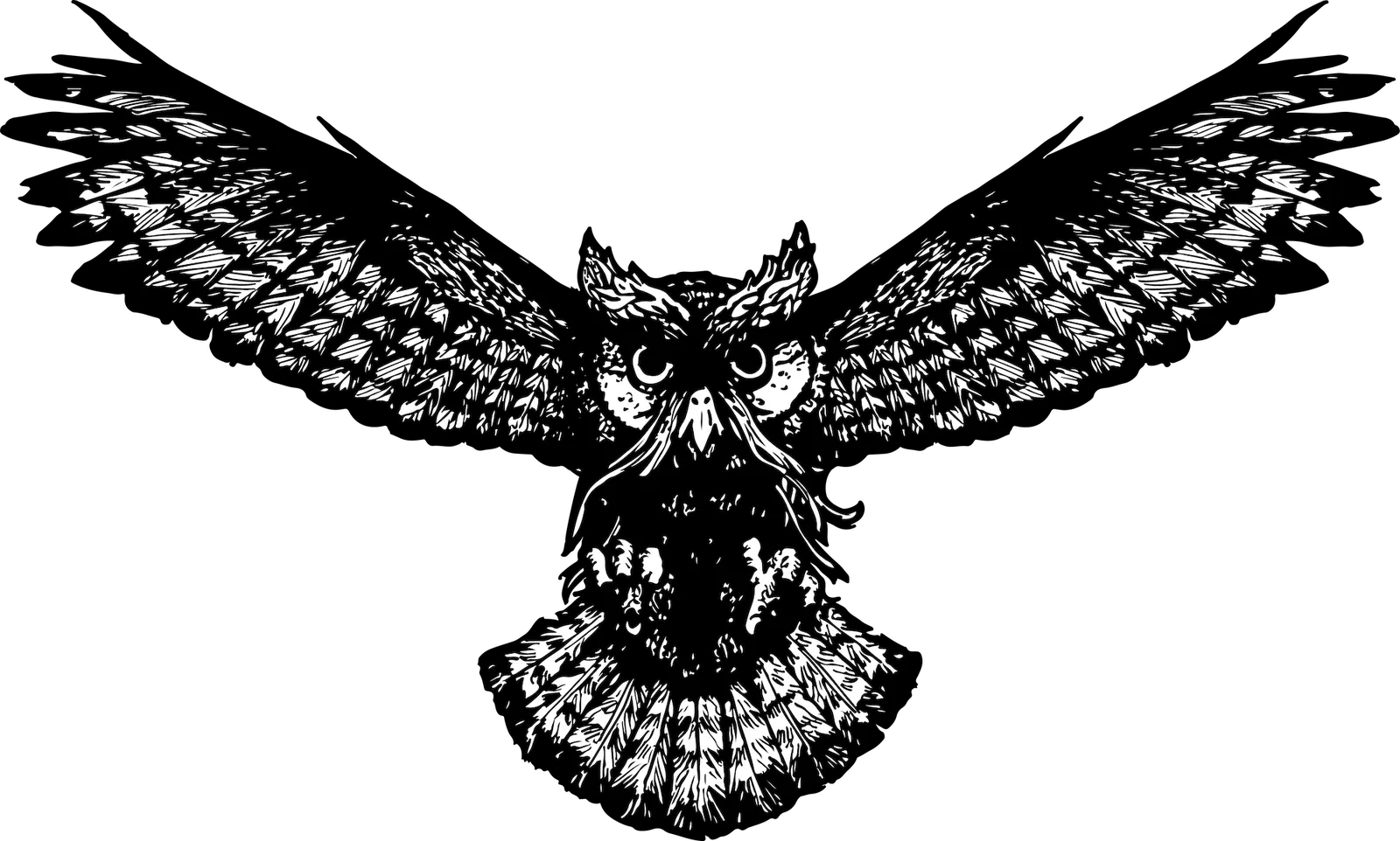Majette Owl